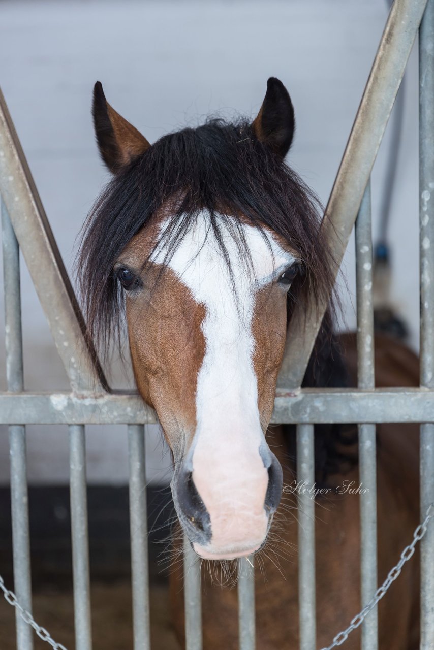 Bild 109 - Pony Akademie Turnier